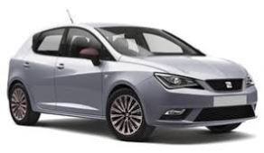 Gj Reault Clio auto en alquiler